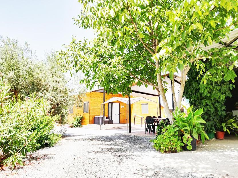 Villa Camino Del Palo Churriana de la Vega Exterior foto