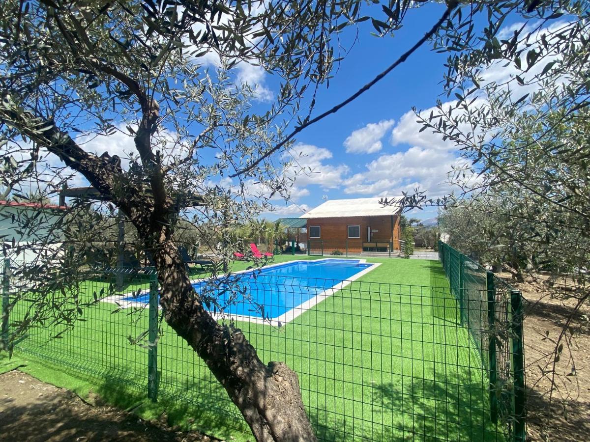 Villa Camino Del Palo Churriana de la Vega Exterior foto
